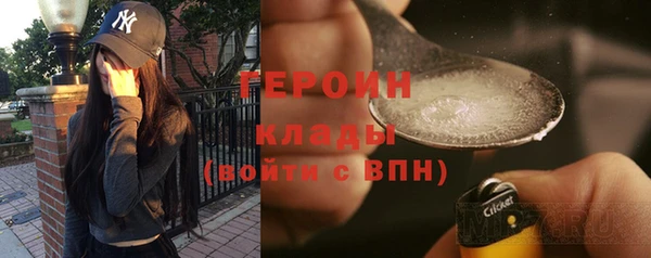 индика Осташков