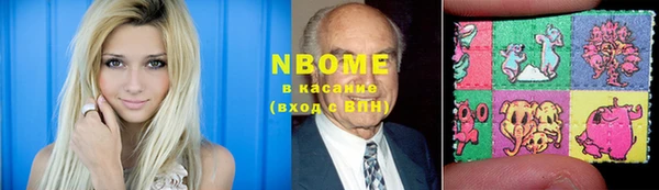 индика Осташков