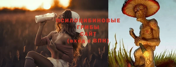 индика Осташков