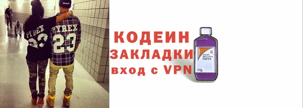 индика Осташков
