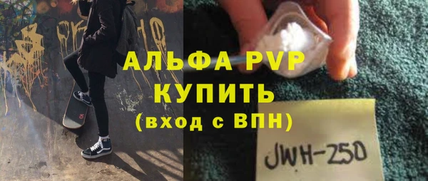 индика Осташков