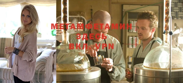 индика Осташков