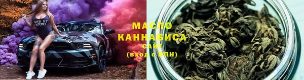 индика Осташков