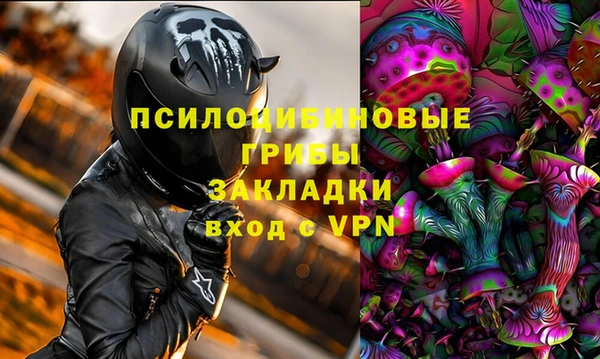 трава Осинники