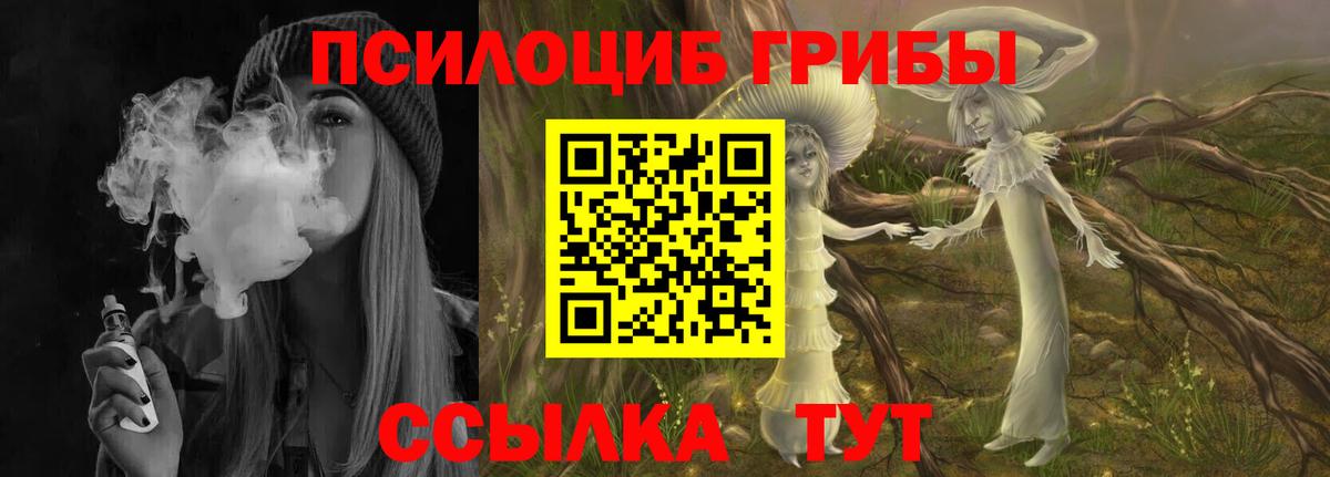 Псилоцибиновые грибы Cubensis Арсеньев